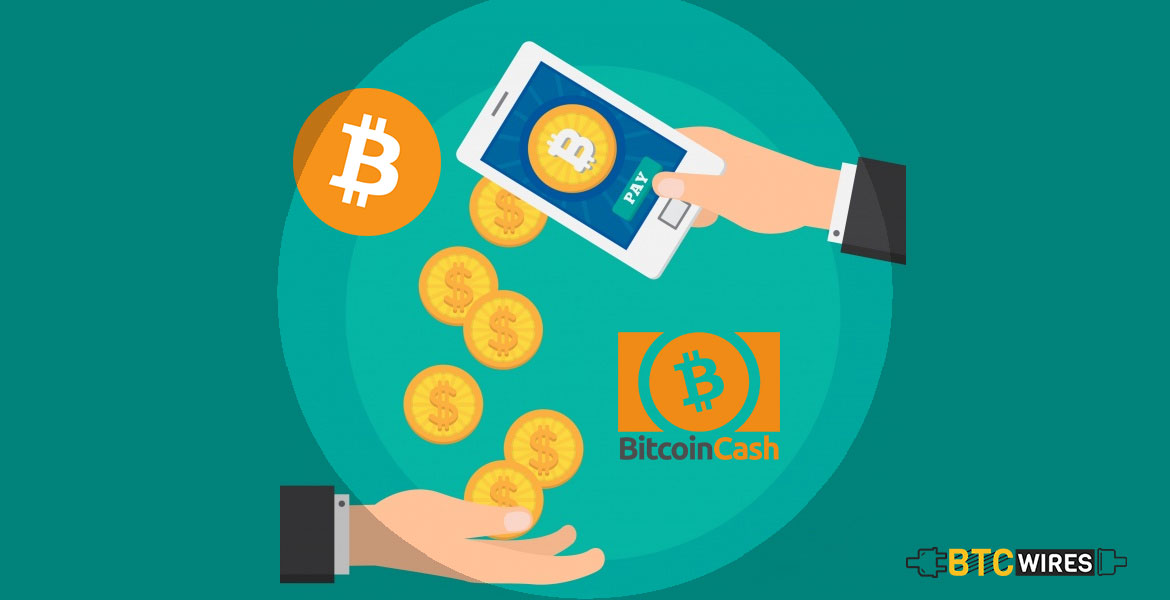 Difference Between Bitcoin And Bitcoin Cash Btc Wires - 