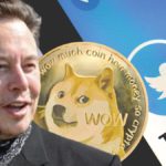 62% of Dogecoin holders in profit amid hopes of Twitter integration