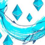 Whale Watching: A Deep Dive Into the Portfolios of the World’s Largest Ethereum Whales